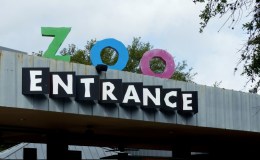 Houston Zoo – Vacation – Part&nbsp;2