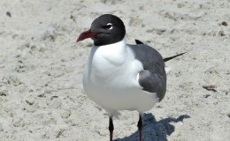 Last Photos of Our&nbsp;Vacation