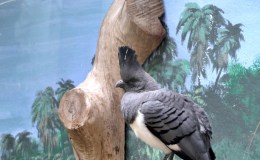 Lee’s One Word Monday –&nbsp;8/29/16