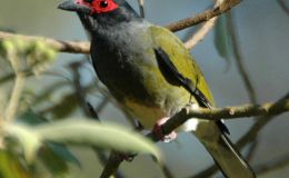 Matthew Chapter A Day –&nbsp;24