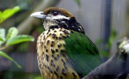 I.O.C. Version 6.2 Update&nbsp;Complete