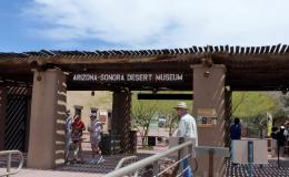 Arizona-Senora Desert Museum –&nbsp;Vacation