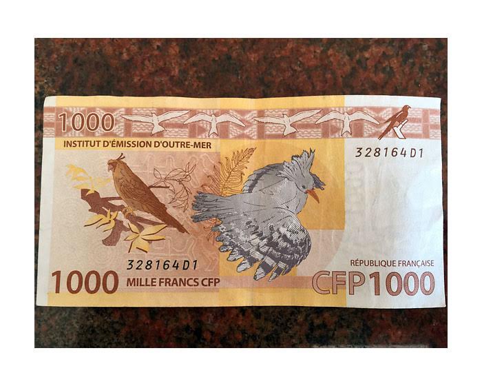 Kagu (Rhynochetos jubatus) by Ian