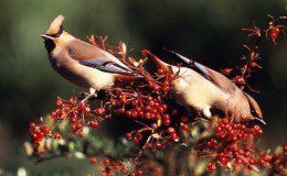 Sunday Inspiration – Deep Love of&nbsp;Jesus