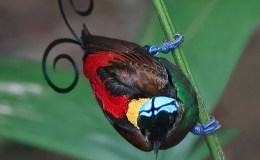 Sunday Inspiration – From Mud to&nbsp;Beauty