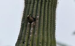 Lee’s Seven Word Sunday –&nbsp;6/19/15