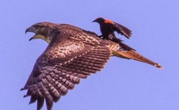 Lee’s One Word Monday –&nbsp;2/22/16