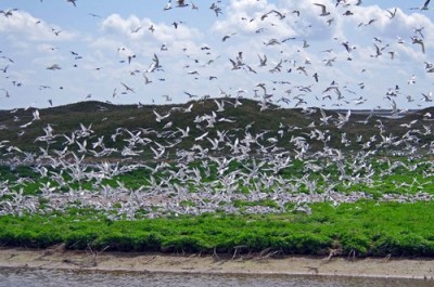 Photo taken from http://mw2.google.com/mw-panoramio/photos/medium/14567172.jpg