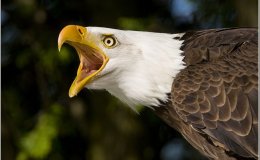 Lee’s Four Word Thursday –&nbsp;6/16/16