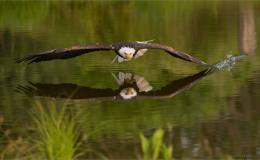 Lee’s Six Word Saturday –&nbsp;2/13/16