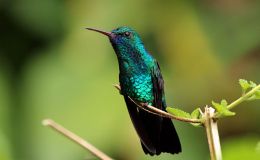 Lee’s Five Word Friday –&nbsp;5/5/17