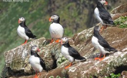 Matthew Chapter A Day –&nbsp;7