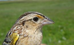 In The Hollow Of His&nbsp;Hand