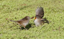 Lee’s Five Word Friday –&nbsp;9/23/16