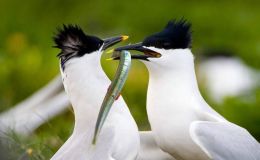 Lee’s Seven Word Sunday –&nbsp;9/25/16