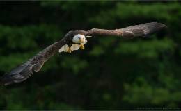 Lee’s Four Word Thursday –&nbsp;7/28/16