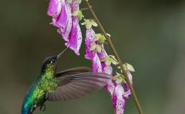 Lee’s Three Word Wednesday –&nbsp;5/3/17