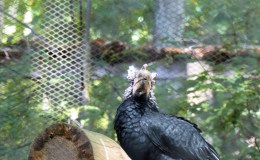 Are You Missing&nbsp;Something?