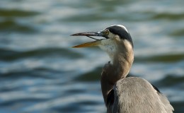 Lee’s Seven Word Sunday –&nbsp;5/1/16