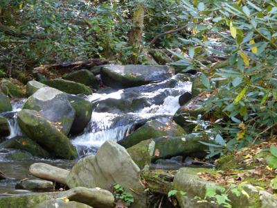 Stream on Roaring Fork Nature Drive