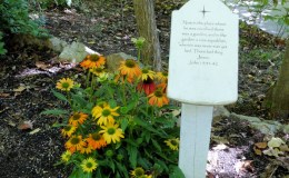 Matthew Chapter A Day –&nbsp;16