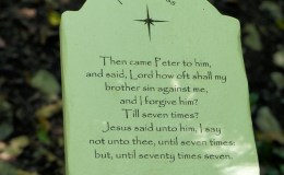 Matthew Chapter A Day –&nbsp;18