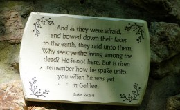 Matthew Chapter A Day –&nbsp;28