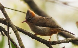 Lee’s Three Word Wednesday –&nbsp;3/15/17