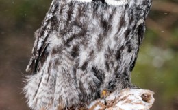 Not Sure What&nbsp;Happened!