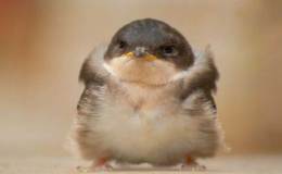 More Photos To&nbsp;Enjoy!