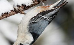 Lee’s Six Word Saturday –&nbsp;4/9/16