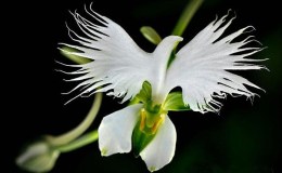 Who Says God Doesn’t Have A Sense of&nbsp;Humor!