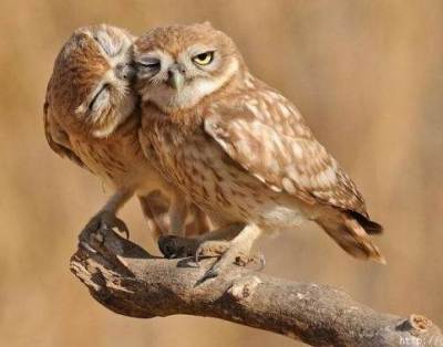 Whooo loves ya, Baby?