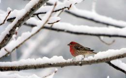 Lee’s Six Word Saturday –&nbsp;2/11/17