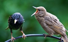 Lee’s One Word Monday –&nbsp;3/7/16