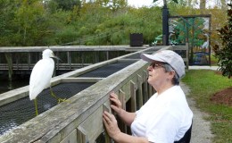 Lee’s Five Word Friday –&nbsp;4/1/16