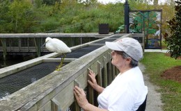 Close Encounter With A&nbsp;Snowy