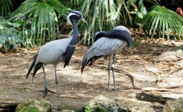 Lee’s Two Word Tuesday –&nbsp;10/25/16