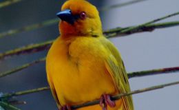 Lee’s Six Word Saturday –&nbsp;3/18/17