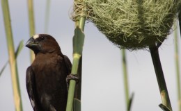 Lee’s Three Word Wednesday –&nbsp;8/17/2016