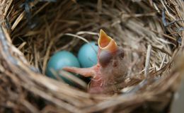 Lee’s Six Word Saturday –&nbsp;2/6/16