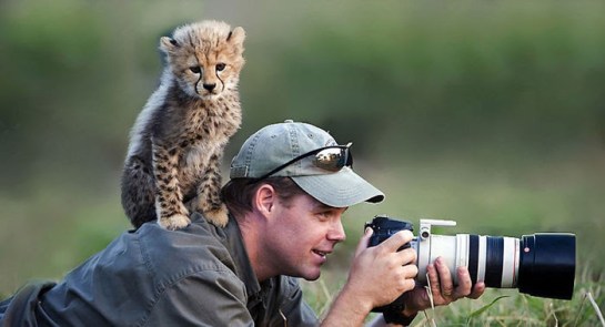 Photographers with animals 12