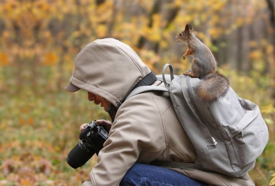 Photographers with animals 14