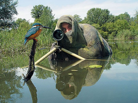 Photographers with animals 19
