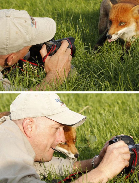 Photographers with animals 3