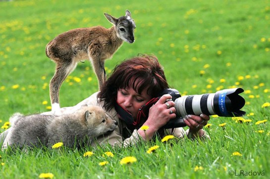 Photographers with animals 4
