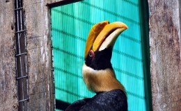 Lee’s Six Word Saturday –&nbsp;2/20/16