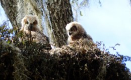 Lee’s Four Word Thursday –&nbsp;2/23/17