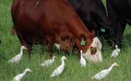 Lee’s Seven Word Sunday –&nbsp;8/6/17