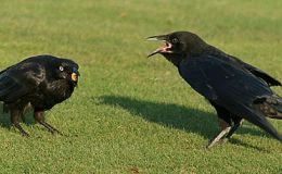 Lee’s One Word Monday –&nbsp;2/8/16